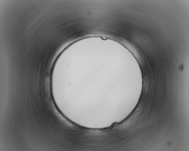 X0000100361100200807031832