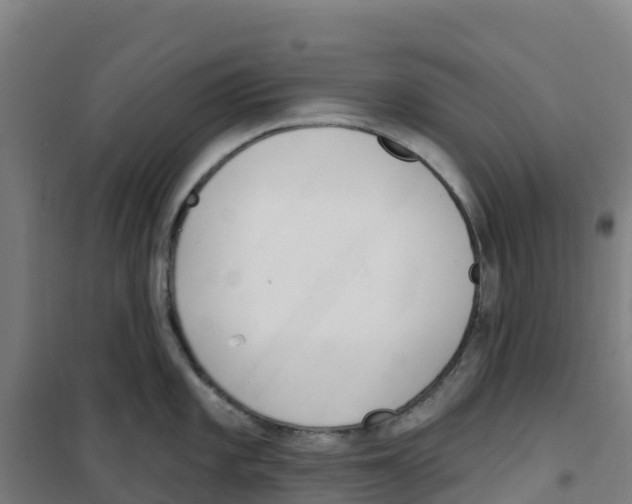 X0000100361101200807031832