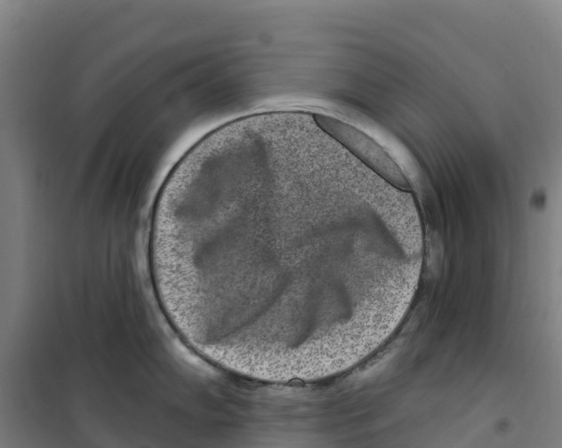 X0000100361102200807031832