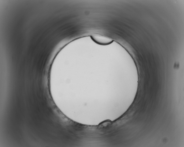 X0000100361104200807031832