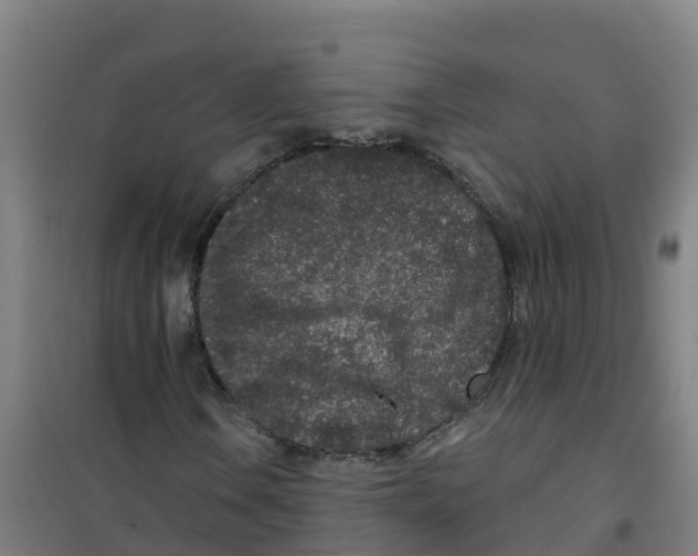X0000100361106200807031831