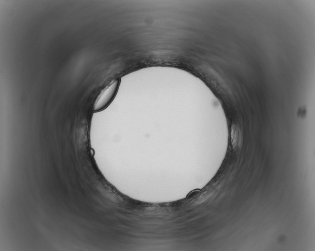 X0000100361107200807031831