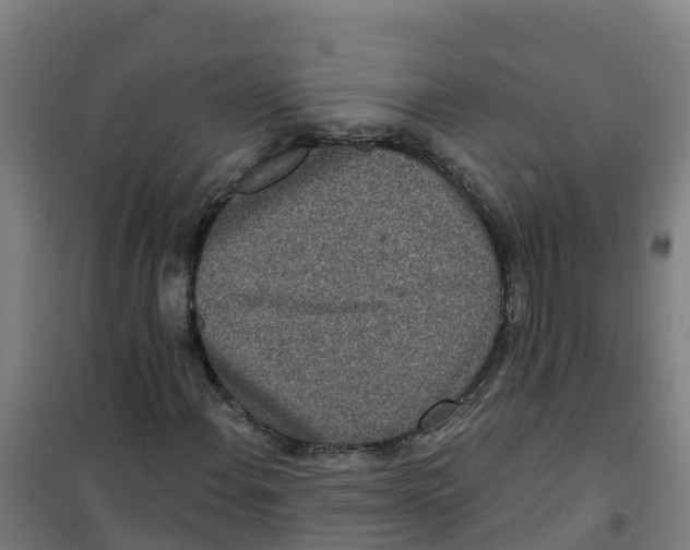 X0000100361108200807031831