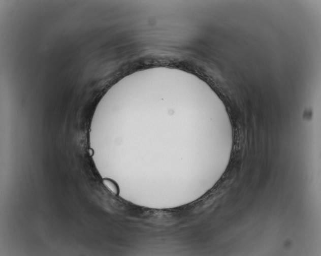 X0000100361109200807031831