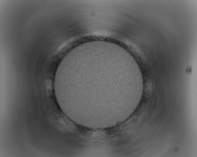X0000100361110200807031831