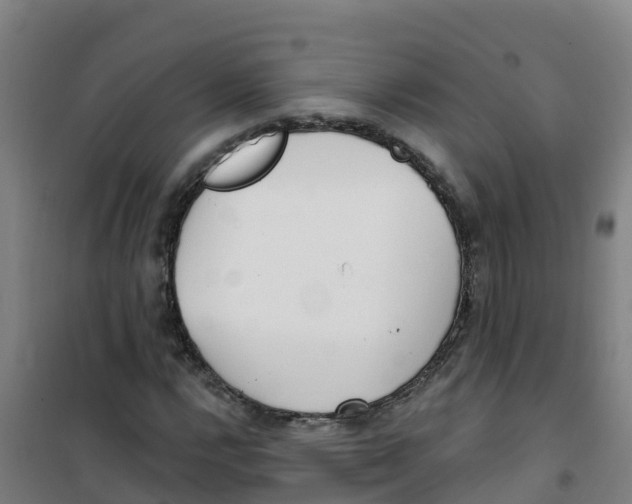X0000100361112200807031831