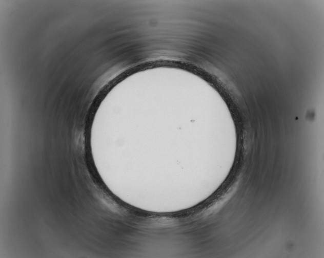 X0000100361113200807031831