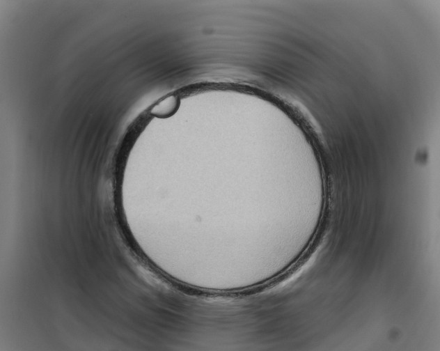 X0000100361114200807031831