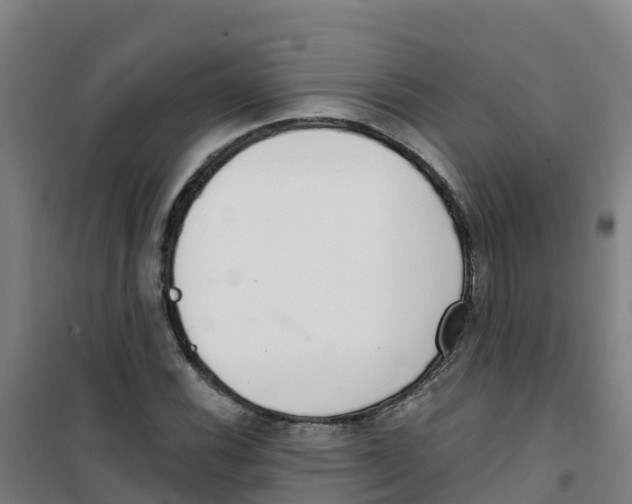 X0000100361116200807031831