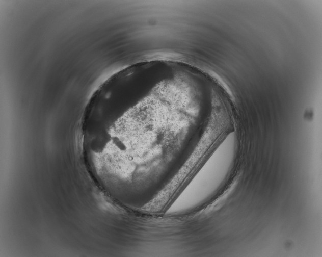 X0000100361117200807031831