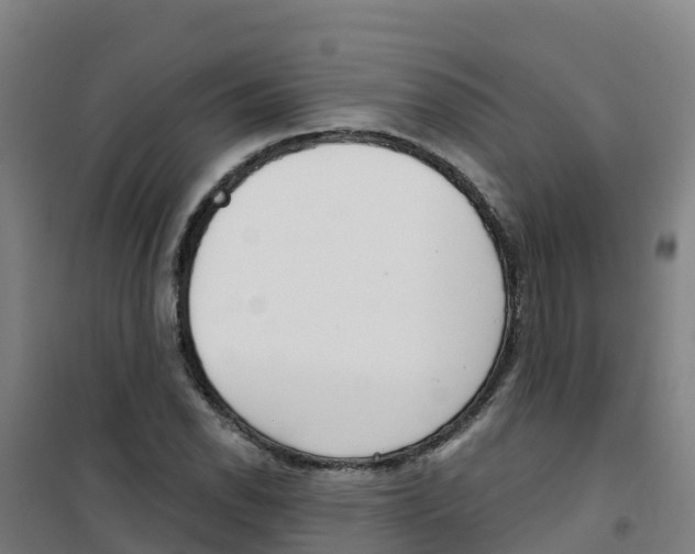 X0000100361118200807031831