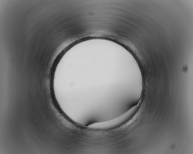 X0000100361122200807031831
