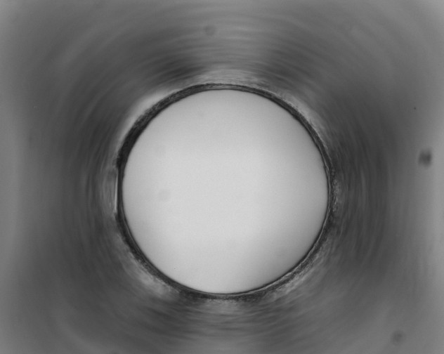 X0000100361123200807031831