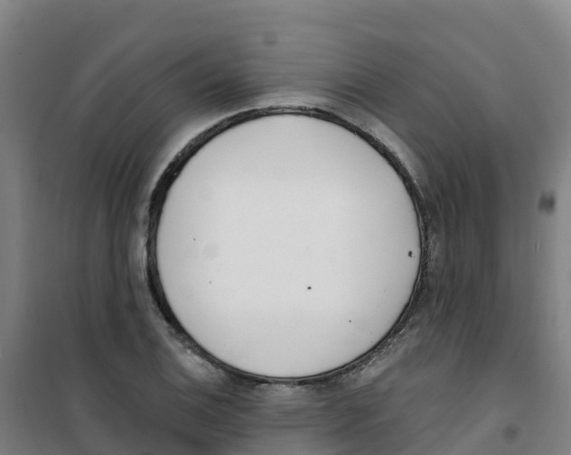 X0000100361124200807031831