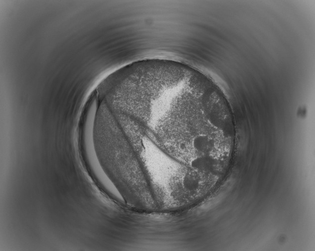 X0000100361125200807031832