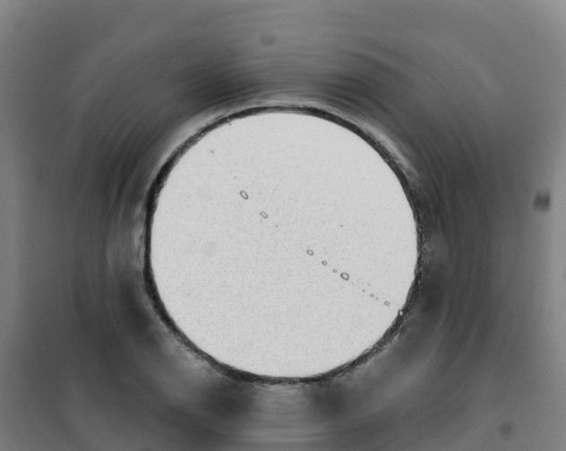 X0000100361126200807031832