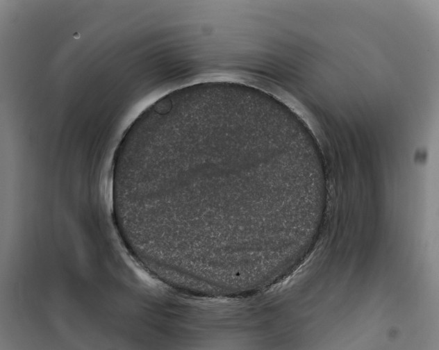 X0000100361127200807031832
