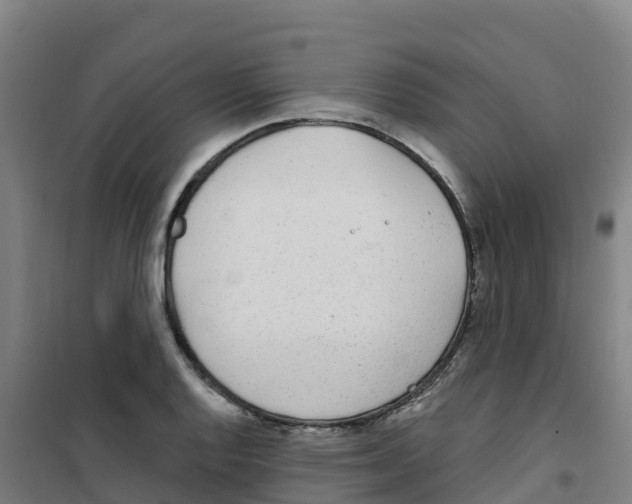 X0000100361128200807031832
