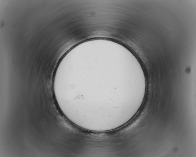 X0000100361129200807031832
