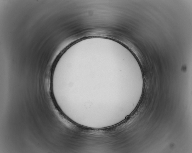 X0000100361131200807031832