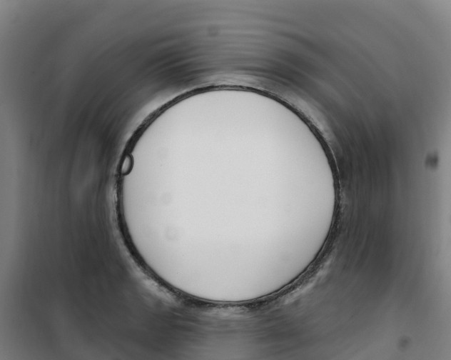 X0000100361133200807031832