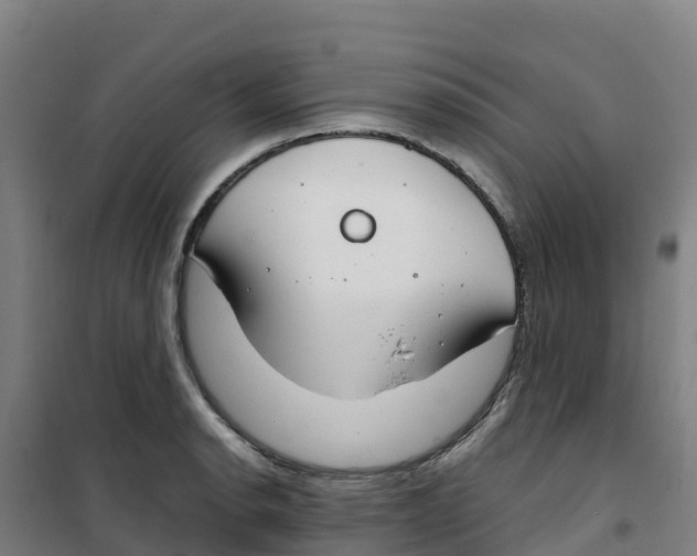 X0000100361134200807031832
