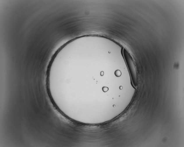 X0000100361135200807031832
