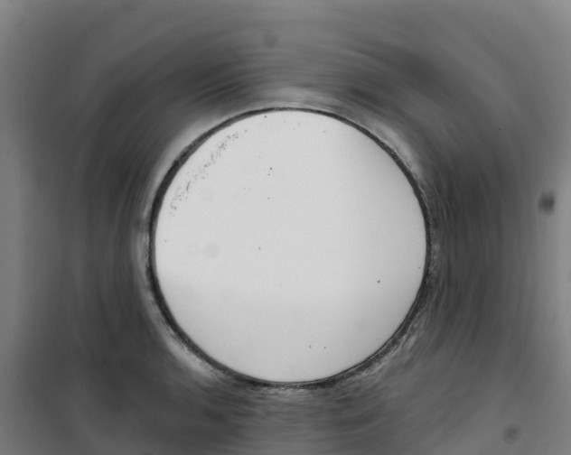 X0000100361136200807031832