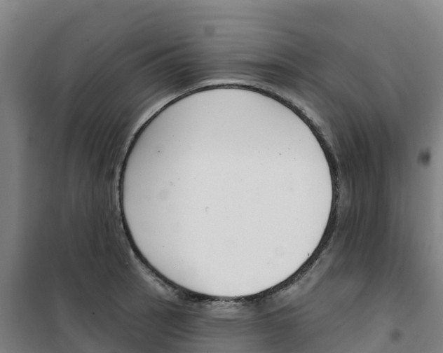 X0000100361137200807031832