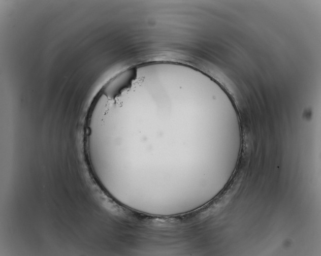 X0000100361138200807031832