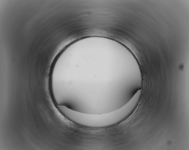 X0000100361139200807031832