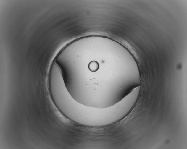 X0000100361140200807031832