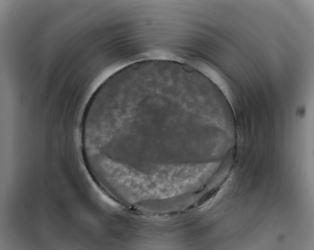 X0000100361141200807031832