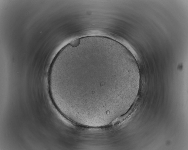 X0000100361142200807031832