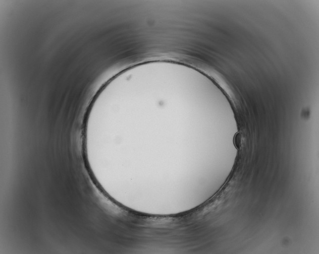 X0000100361143200807031832
