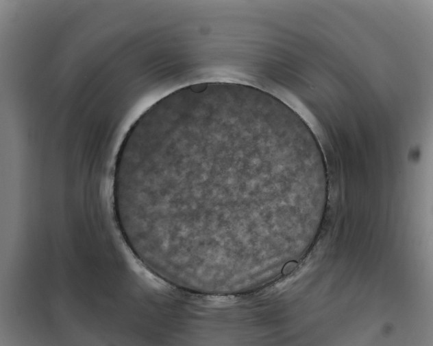 X0000100361144200807031832