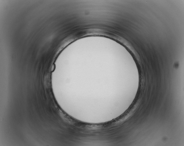 X0000100361145200807031832