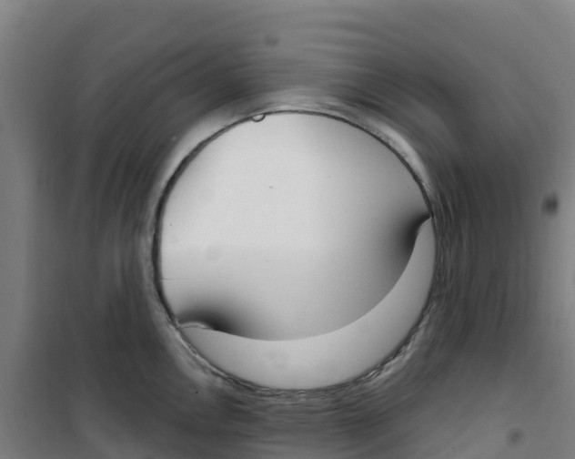 X0000100361146200807031832