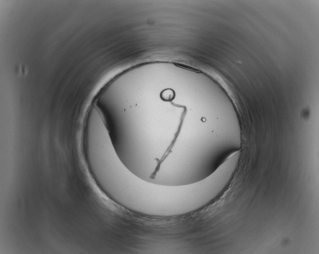 X0000100361147200807031832