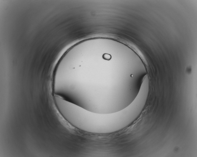 X0000100361148200807031832