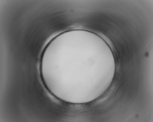 X0000100361149200807031832