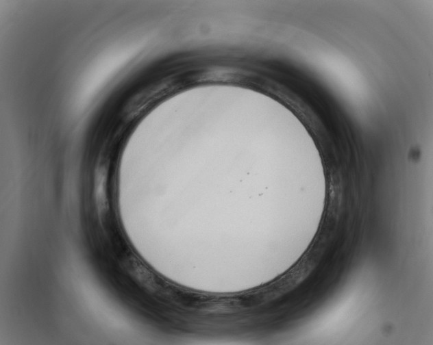 X0000100361150200807031832