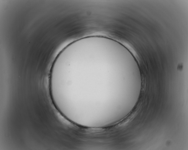 X0000100361151200807031832