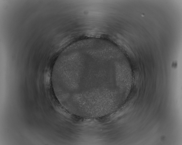 X0000100361154200807031831