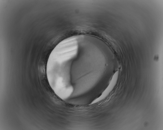 X0000100361155200807031831