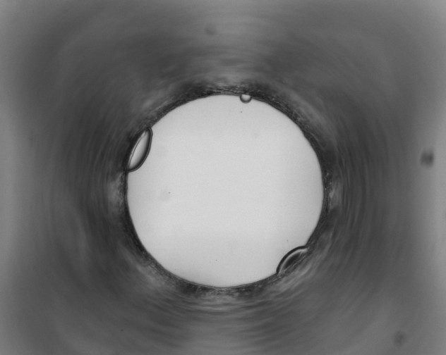 X0000100361156200807031831