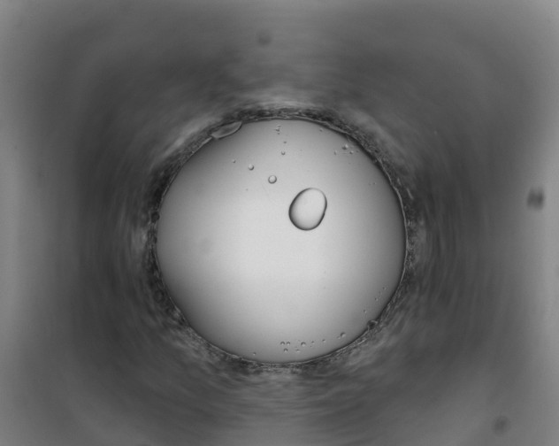X0000100361157200807031831