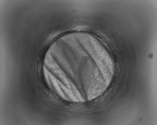 X0000100361158200807031831