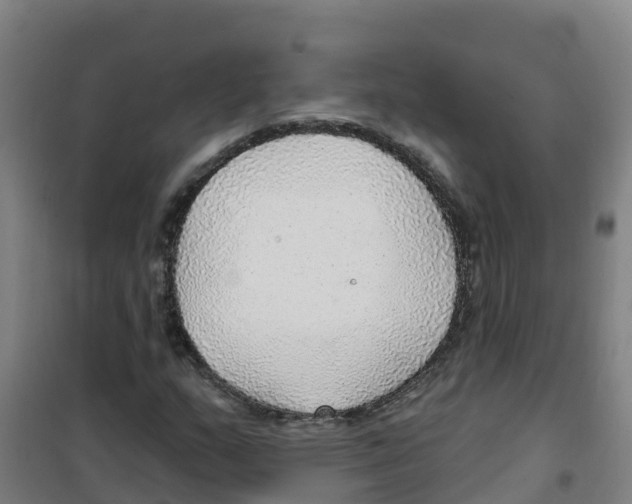 X0000100361159200807031831