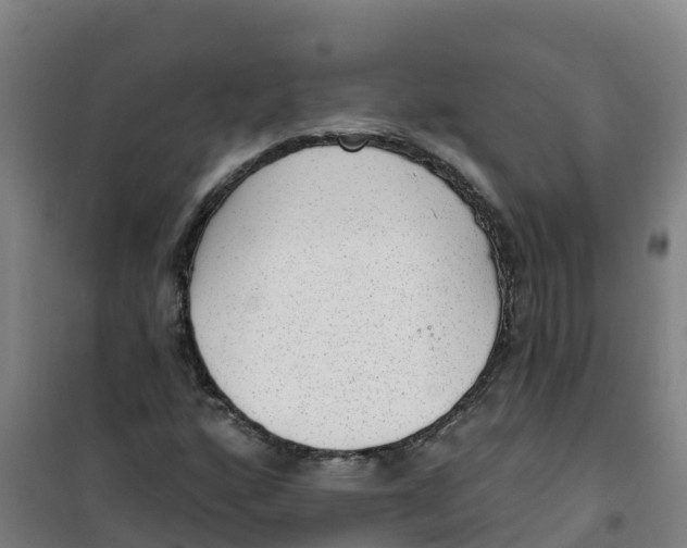X0000100361160200807031831